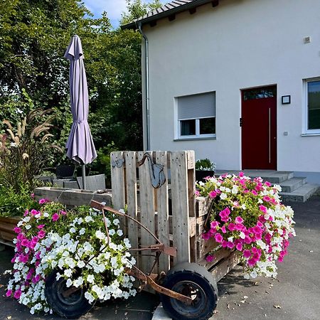 Ferienwohnungen Frank Segnitz エクステリア 写真